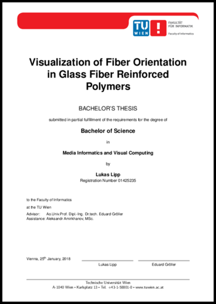Bachelor Thesis